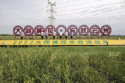 乐竞大同分公司参加大同市黄花丰收活动月