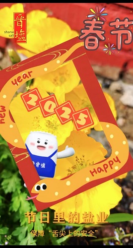 节日里的盐业